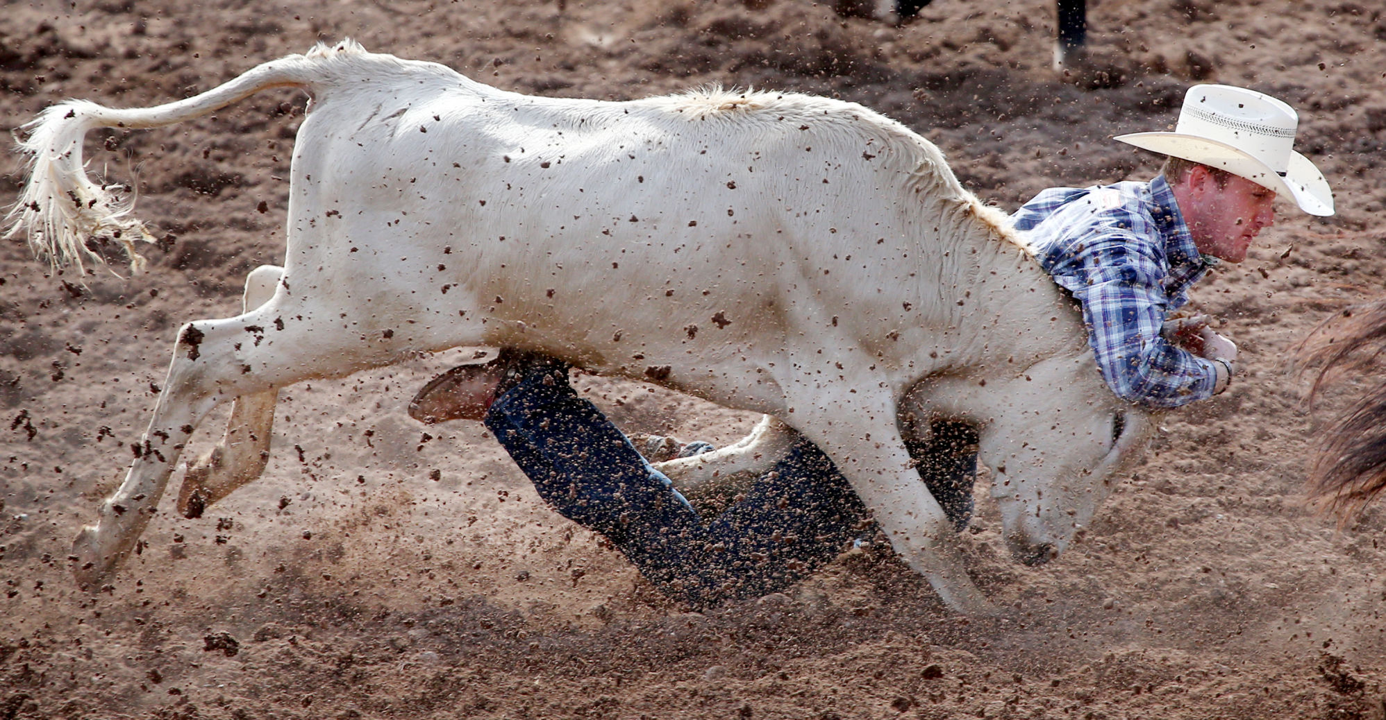 2018 Tucson Rodeo